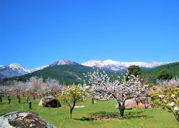 El Hogar De Gredos *