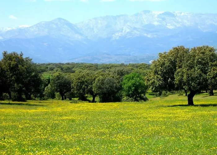 El Hogar De Gredos