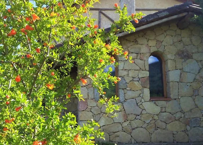 El Hogar De Gredos ארנס דה סן פדרו